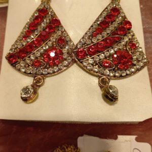 Designer red earrings